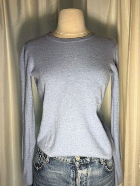 Light Blue Everlane Cashmere Crewneck Sweater